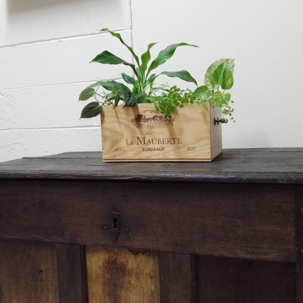French farmhouse table centerpiec with plants at French Originals NZ